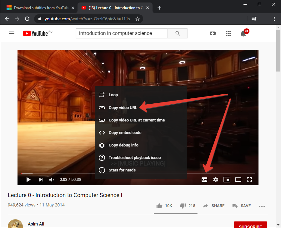 download youtube video with subtitles embedded