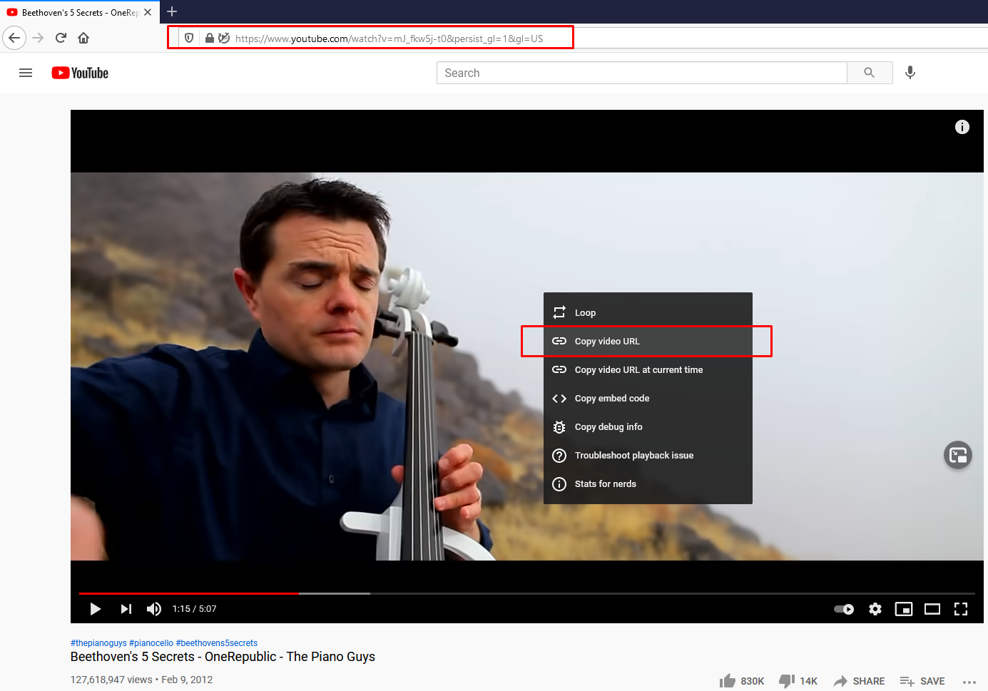 How to download YouTube videos by URL for free