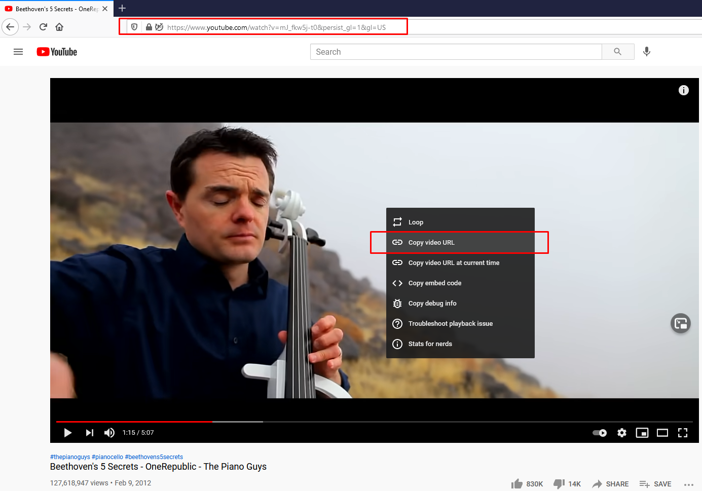 how-to-download-youtube-videos-by-url-for-free