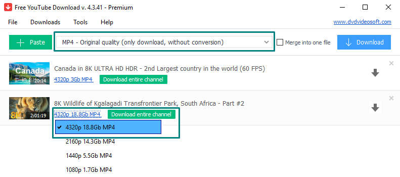 dvdvideosoft free studio premium serial key